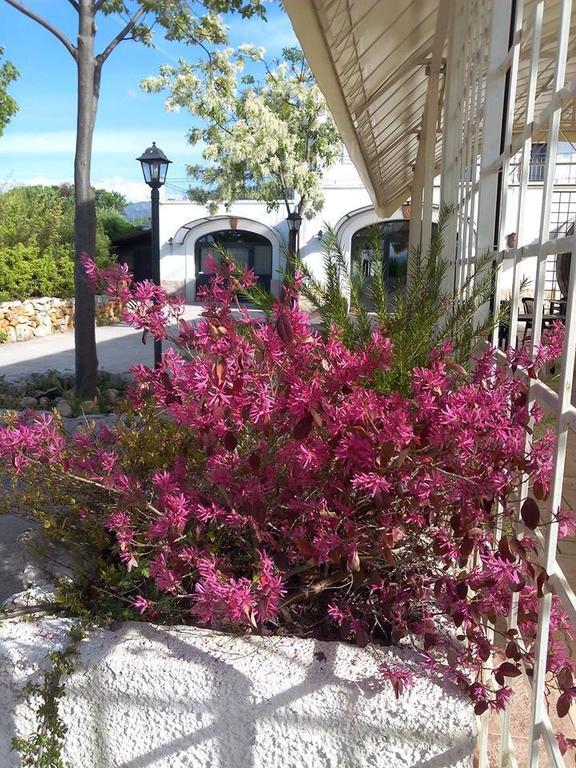 فيلا Locanda Dell'Asino D'Oro سولمونا المظهر الخارجي الصورة