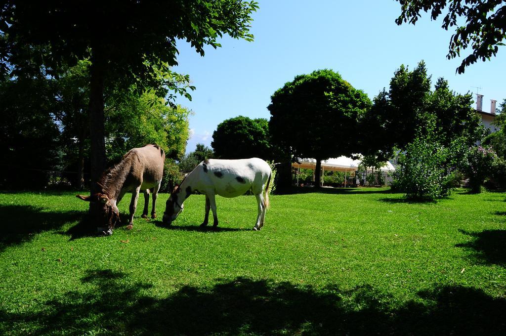 فيلا Locanda Dell'Asino D'Oro سولمونا المظهر الخارجي الصورة